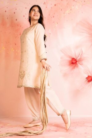 Cey Cotton Embroidered 3 Pc Suit
