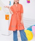 Chambray Cotton Dress