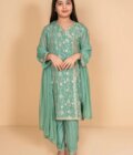 Chiffon Embroidered 3 Pc Suit