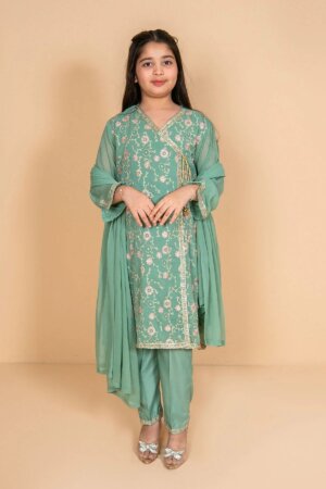Chiffon Embroidered 3 Pc Suit