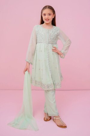 Chiffon Embroidered 3 Pc Suit