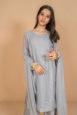 Chiffon Embroidered 3 Pc Suit