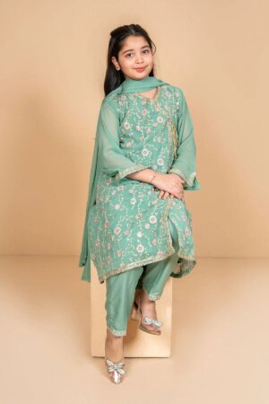 Chiffon Embroidered 3 Pc Suit