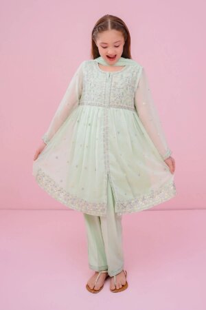 Chiffon Embroidered 3 Pc Suit
