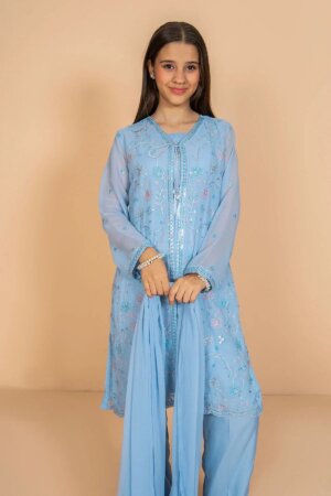 Chiffon Embroidered 3 Pc Suit
