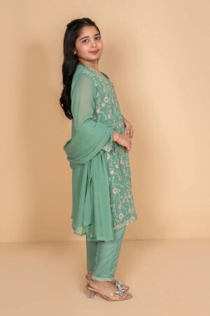 Chiffon Embroidered 3 Pc Suit