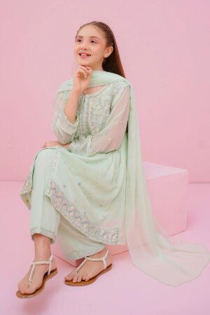 Chiffon Embroidered 3 Pc Suit