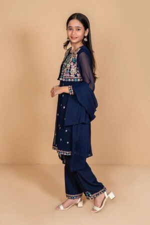 Chiffon Embroidered 3 Pc Suit