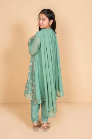 Chiffon Embroidered 3 Pc Suit
