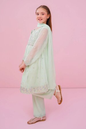 Chiffon Embroidered 3 Pc Suit