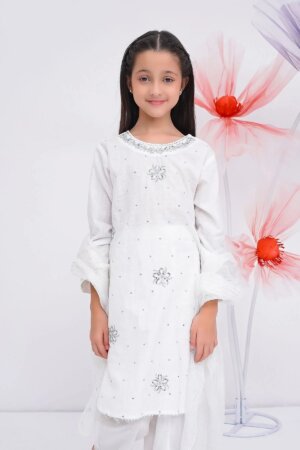 Cotton Chambray Embroidered 3 Pc Suit