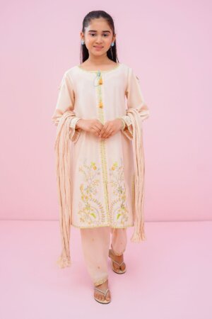 Cotton Embroidered 3 Pc Suit