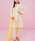Cotton Embroidered 3 Pc Suit