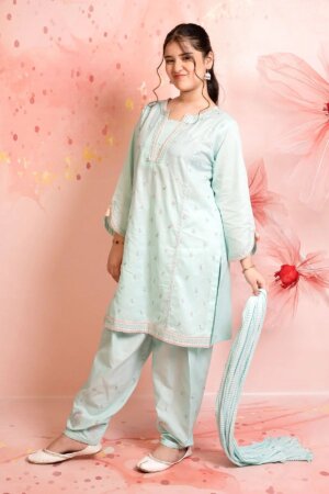 Cotton Embroidered 3 Pc Suit