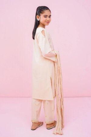 Cotton Embroidered 3 Pc Suit