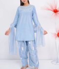 Cotton Silk Hand Adda Work 3 Pc Suit