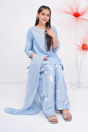 Cotton Silk Hand Adda Work 3 Pc Suit
