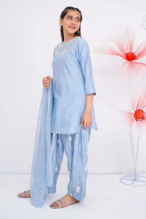 Cotton Silk Hand Adda Work 3 Pc Suit