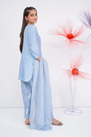 Cotton Silk Hand Adda Work 3 Pc Suit
