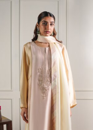 PASTEL KALIDAAR KURTA SET