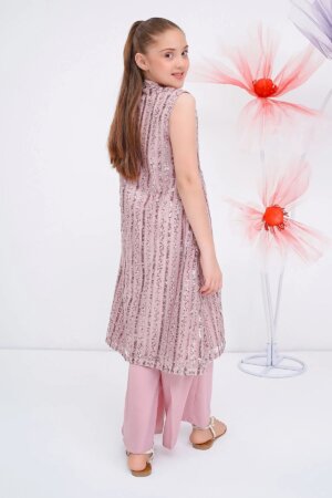 Sequence Net Embroidered 2 Pc Suit
