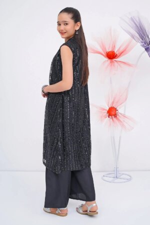 Sequence Net Embroidered 2 Pc Suit