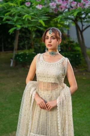Chandni (Moonlight)